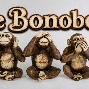 Coverafbeelding voor de voorstelling De Bonobo's, productie van Theater Magique